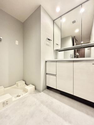 ���ʑ�E���ʏ��@�X�^�C�����O�ɕ֗��ȎO�ʋ��A�~���[�L���r�l�b�g�ōׂ������X�b�L��