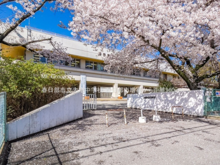 ���ӊ��@���w�Z 960m �t�����s���呝���w�Z