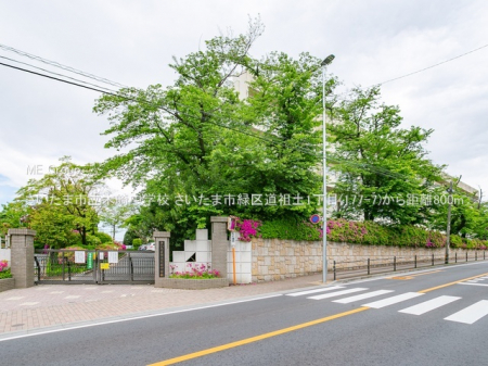 ���ӊ��@���w�Z 800m �������܎s���؍蒆�w�Z