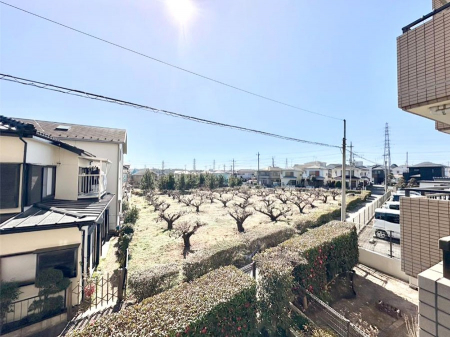 ���̑��@���Z�܂�����̒��]�ł��I  