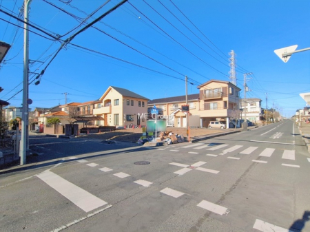 ���n�y�n�ʐ^�@-