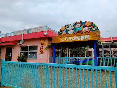 ���ӊ��@�c�t���E�ۈ牀 400m ��a�c���炩�Ηc�t��