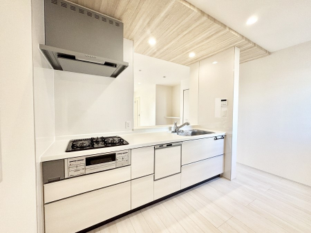 �L�b�`���@�������������I�ɁA�y�����I�V�X�e���L�b�`��  