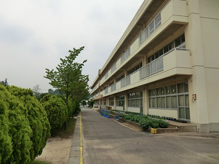 ���ӊ��@���w�Z 1100m ��c�s����c�ˏ��w�Z