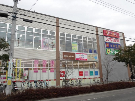 ���ӊ��@�V���b�s���O�Z���^�[ 2100m �t�F�X�^�X�N�G�A