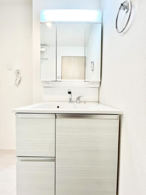 ���ʑ�E���ʏ��@���[�͂Ƌ@�\���ɗD�ꂽ���ʉ��ϑ�