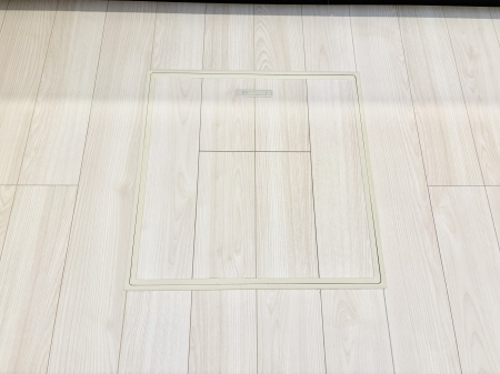 ���̑����ρ@�������[�t���I���p�i�E���p�i�̎��[�ɂ��劈��B