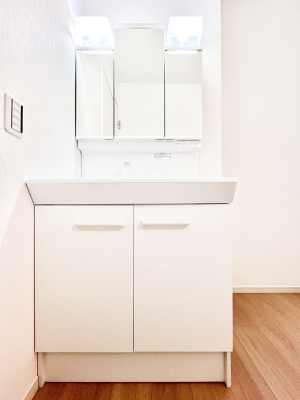 ���ʑ�E���ʏ��@���[�͂Ƌ@�\���ɗD�ꂽ���ʉ��ϑ�