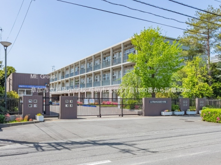 ���ӊ��@���w�Z 800m �����s���������w�Z