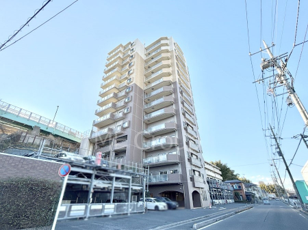 ���n�O�ώʐ^�@����z���ł��Ƒ��̏Ί���P�� 