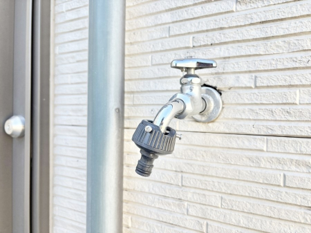 ���̑����ρ@�o���R�j�[����������΂��|�����y�X�ł��B    