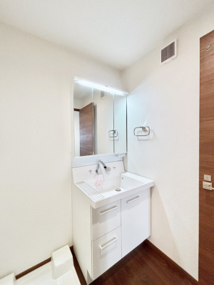 ���ʑ�E���ʏ��@���[�͂Ƌ@�\���ɗD�ꂽ���ʉ��ϑ�