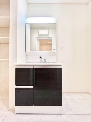 ���ʑ�E���ʏ��@���[�͂Ƌ@�\���ɗD�ꂽ���ʉ��ϑ�