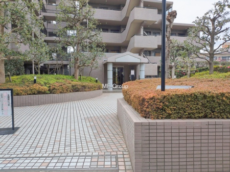 �G���g�����X�@-