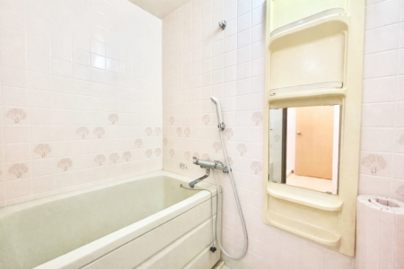 �����@����̔�������Ă���閾�邢�������̂���o�X���[��