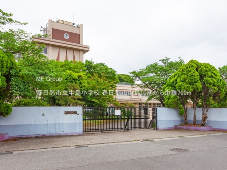 ���ӊ��@���w�Z 700m �t�����s���������w�Z