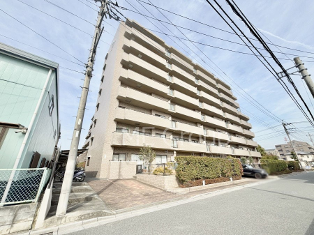 ���n�O�ώʐ^�@��Ƃ肪�Ί�𐶂ސS�n�悢���� 