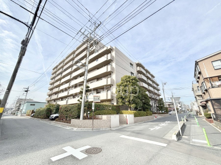 ���n�O�ώʐ^�@��������n�܂�V�����������������܂�