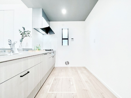 �L�b�`���@�V�X�e���L�b�`���̓V���v���ŃX�b�L�������O���̗��Ȃ��f�U�C���Ȃ̂ŉi���g�������I