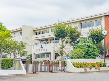 ���ӊ��@���w�Z 2130m �t�����s���я����w�Z