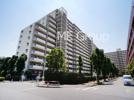 ���n�O�ώʐ^�@��������n�܂�V�����������������܂�