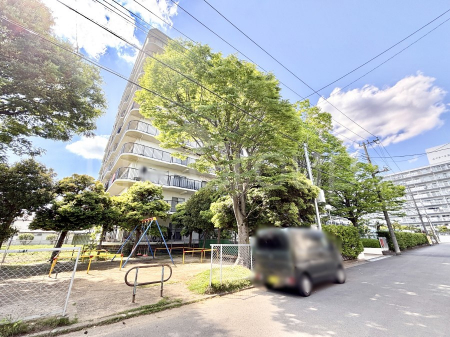 ���n�O�ώʐ^�@����z���ł��Ƒ��̏Ί���P�� 