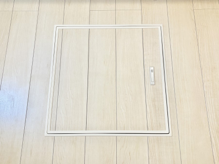 ���̑����ρ@�������[�t���I���p�i�E���p�i�̎��[�ɂ��劈��B