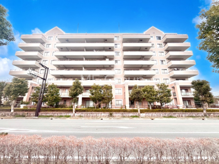 ���n�O�ώʐ^�@��Ƃ肪�Ί�𐶂ސS�n�悢���� 