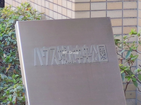 �G���g�����X�@-