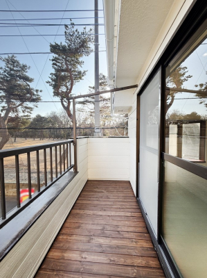 �o���R�j�[�@�C�����悢�z���ƕ����������܂�  �@