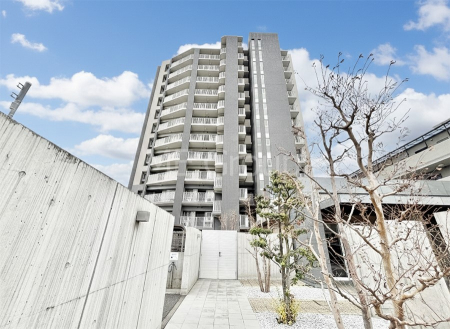 ���n�O�ώʐ^�@��Ƃ肪�Ί�𐶂ސS�n�悢����