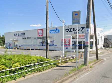 ���ӊ��@�h���b�O�X�g�A 500m �E�G���V�A���쑝��7���ړX