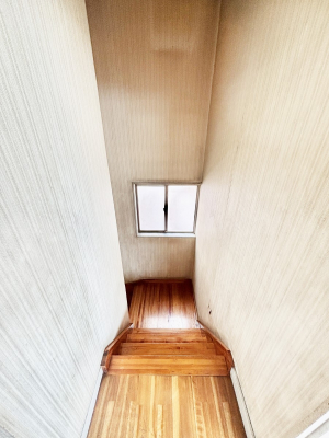 ���̑����ρ@����������̂Ŗ��邢���������������݂܂�