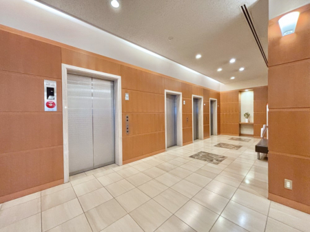 ���̑��@�Z���҂◈�K�҂��C�����悭���o�}���B�������������͋C�̃G���g�����X