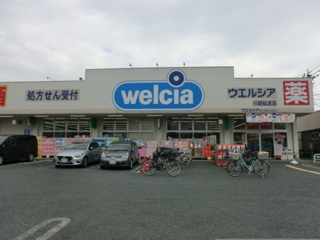 ���ӊ��@�h���b�O�X�g�A 500m �E�G���V�A��z��g�X