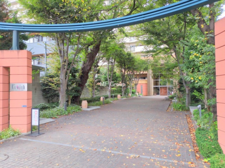 �G���g�����X�@-