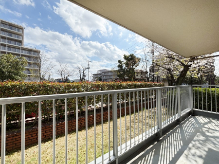 �o���R�j�[�@���ʂ��̗ǂ��o���R�j�[