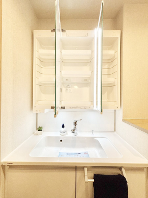 ���̑����ρ@�|���p��␶���G�݂̕ۊǂɕ֗��ȘL�����[  