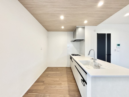 �L�b�`���@�V�X�e���L�b�`���̓V���v���ŃX�b�L�������O���̗��Ȃ��f�U�C���Ȃ̂ŉi���g�������I