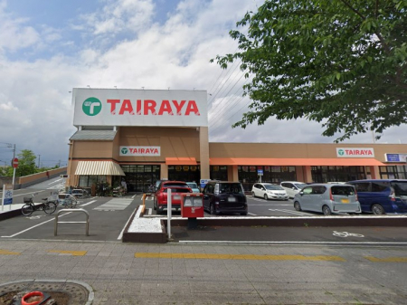 ���ӊ��@�X�[�p�[ 230m TAIRAYA �{�������X