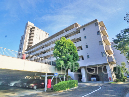 ���ԏ�@�O�� �~�n���ɒ��ԏ�{��