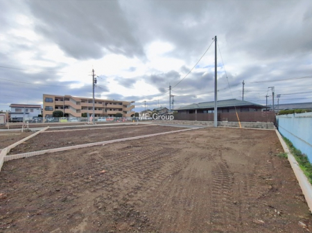 ���n�y�n�ʐ^�@-