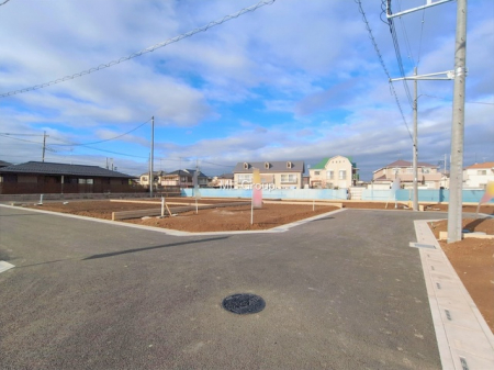 ���n�y�n�ʐ^�@-