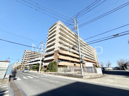 ���n�O�ώʐ^�@�����ɕ֗��Ȓn�ɐL�т₩�ȉƑ��̐������i��`���Z�܂�