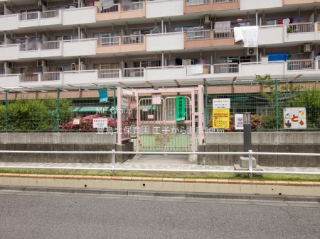 ���ӊ��@�c�t���E�ۈ牀 800m �L���k�ۈ牀