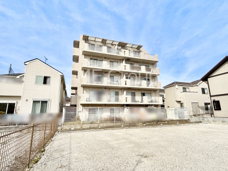 ���n�O�ώʐ^�@����z���ł��Ƒ��̏Ί���P��