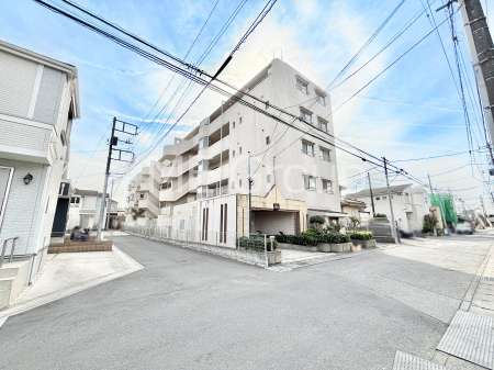 ���n�O�ώʐ^�@��������n�܂�V�����������������܂�