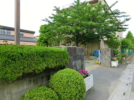 ���ӊ��@���̑����ʐ^ 250m �z�J�s����z�J���w�Z