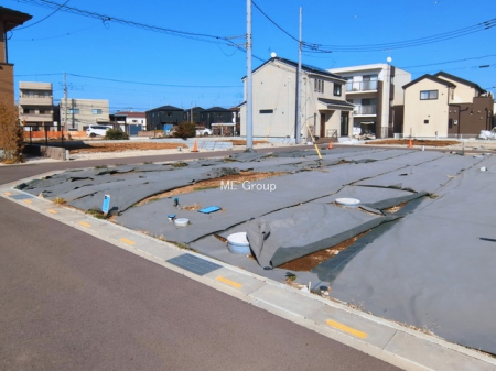 ���n�y�n�ʐ^�@-