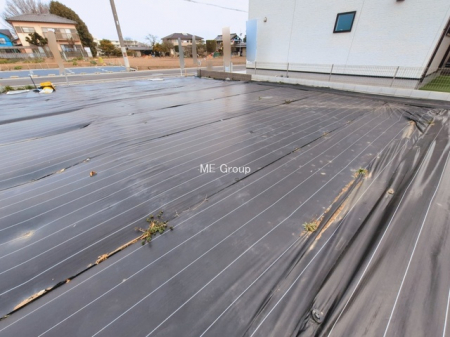 ���n�y�n�ʐ^�@-